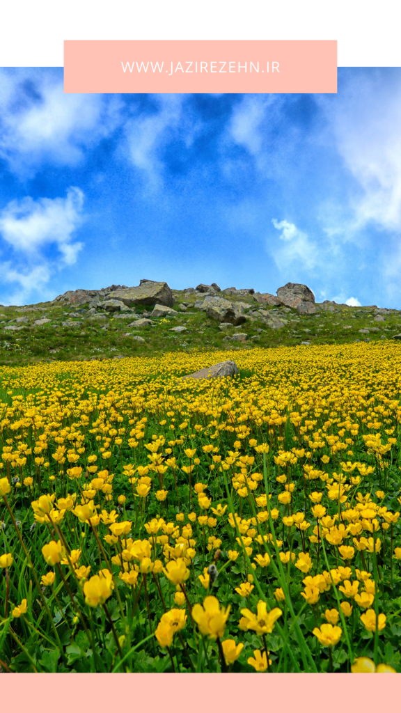 رنگ درمانی با طبیعت بهار|جزیره ذهن 14